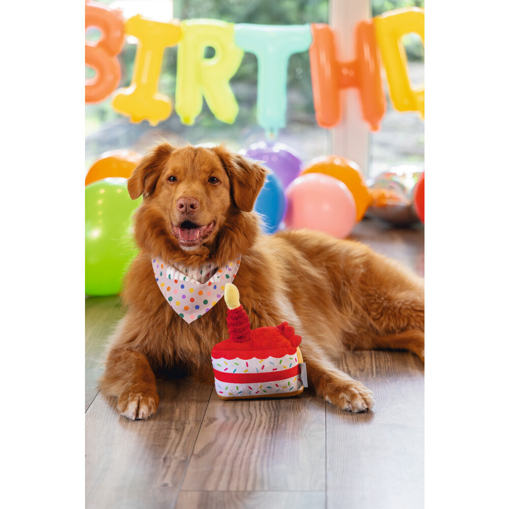 Beeztees Peluş Pasta Dilimi Köpek Oyuncağı 19x14x11cm