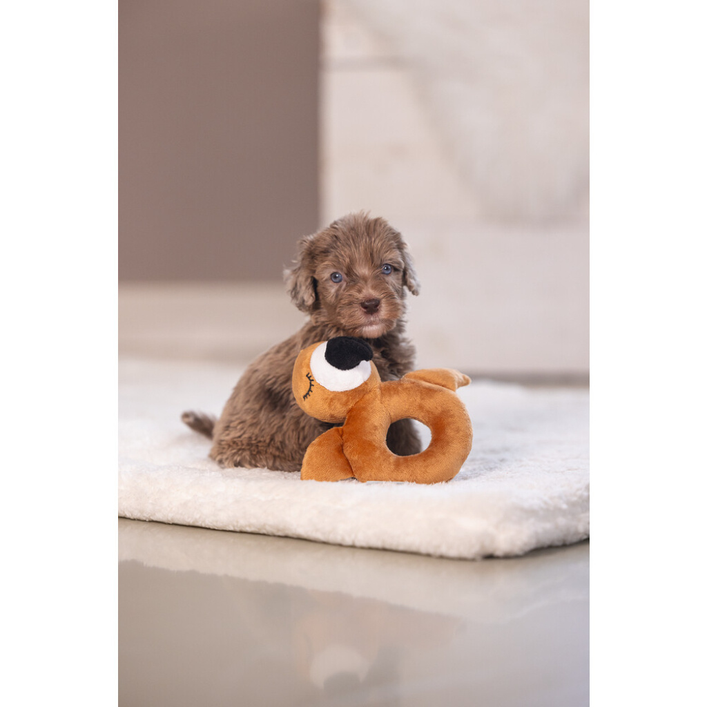 Beeztees Peluş Papağan Köpek Oyuncağı 16x18x8,5cm (Kahverengi)
