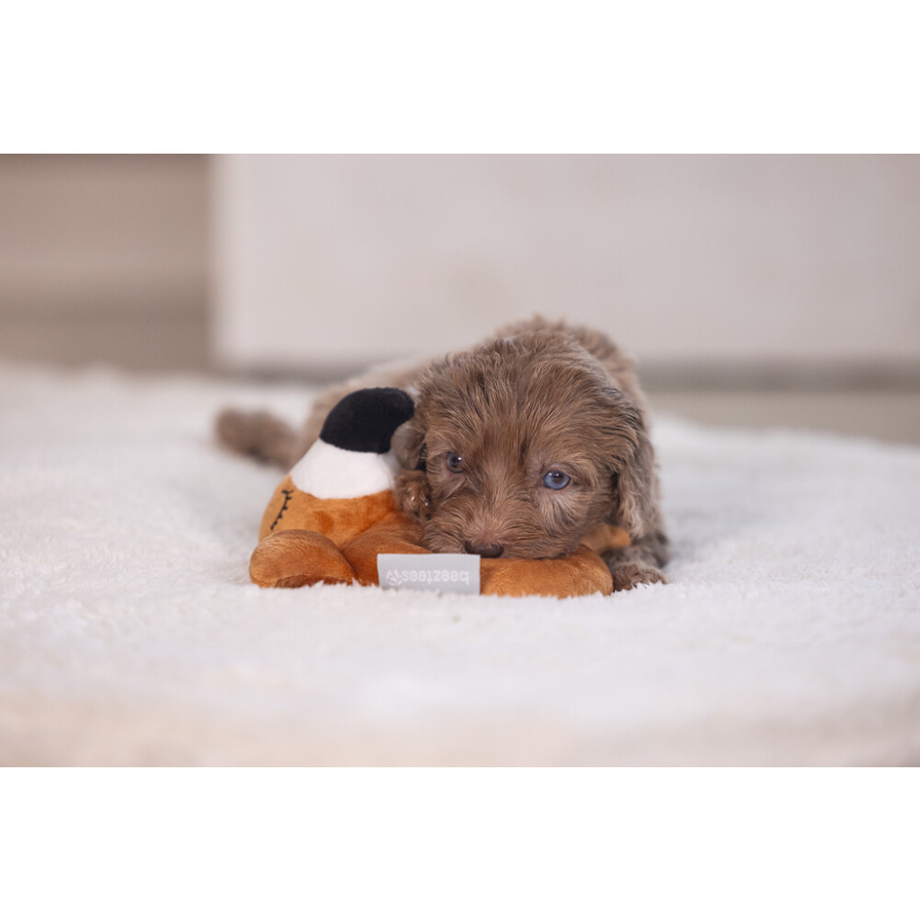Beeztees Peluş Papağan Köpek Oyuncağı 16x18x8,5cm (Kahverengi)