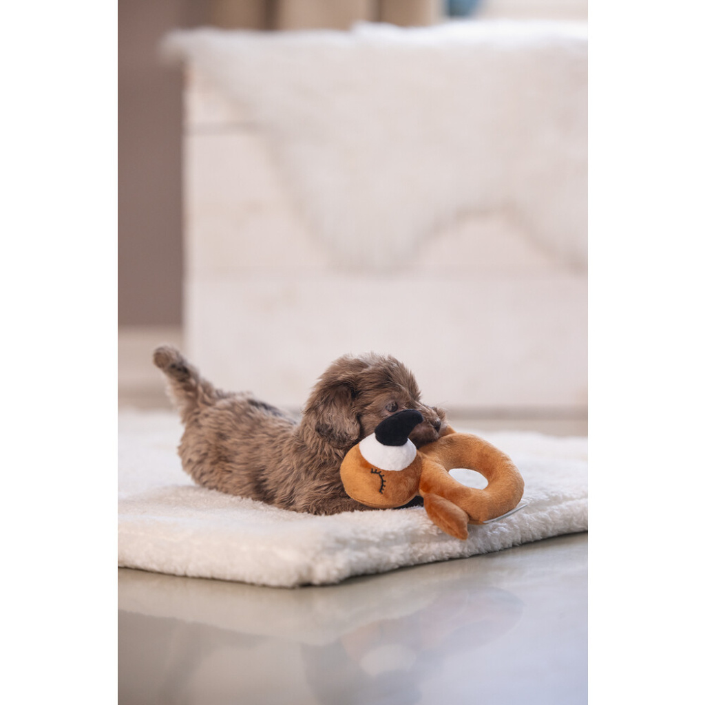 Beeztees Peluş Papağan Köpek Oyuncağı 16x18x8,5cm (Kahverengi)