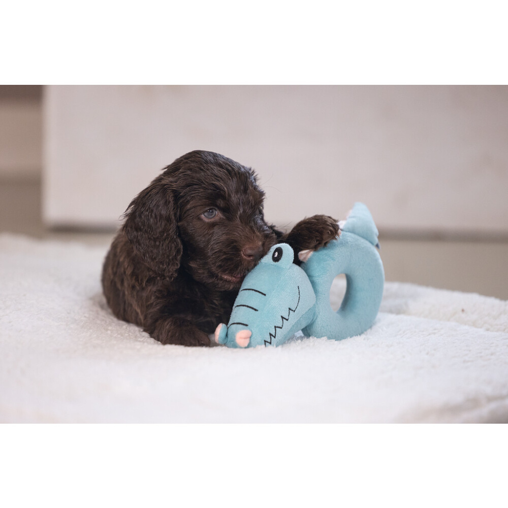 Beeztees Rattle Krokie Peluş Köpek Oyuncağı 16x18x8,5cm (Turkuaz)