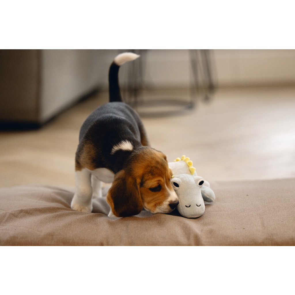 Beeztees Vince Peluş Dinazor Yavru Köpek Oyuncağı 19x14,5x9cm (Yeşil)