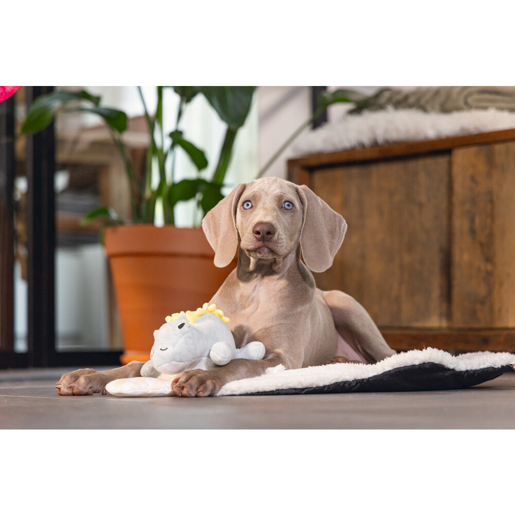 Beeztees Vince Peluş Dinazor Yavru Köpek Oyuncağı 19x14,5x9cm (Yeşil)