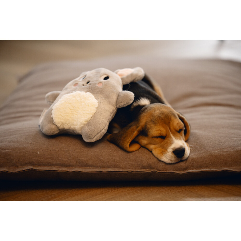 Beeztees Peluş Tavşan Yavru Köpek Oyuncağı 25x20x7,5cm (Gri)