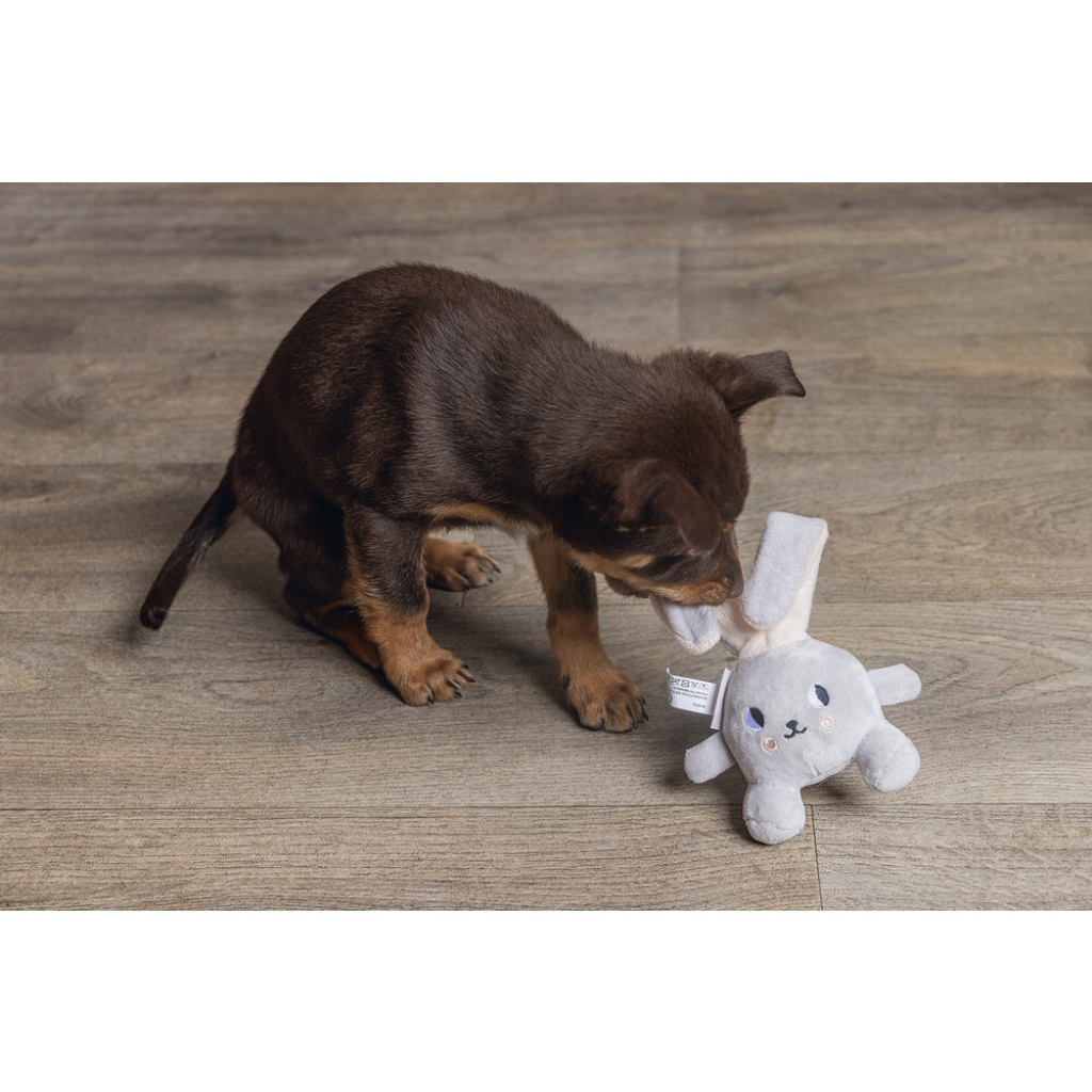 Beeztees Peluş Tavşan Yavru Köpek Oyuncağı 15x9x4cm (Gri)
