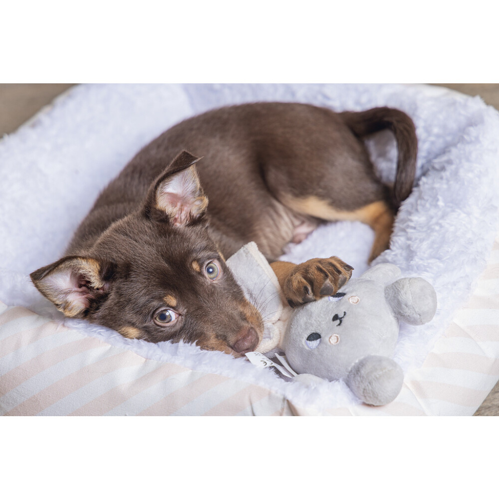 Beeztees Peluş Tavşan Yavru Köpek Oyuncağı 15x9x4cm (Gri)