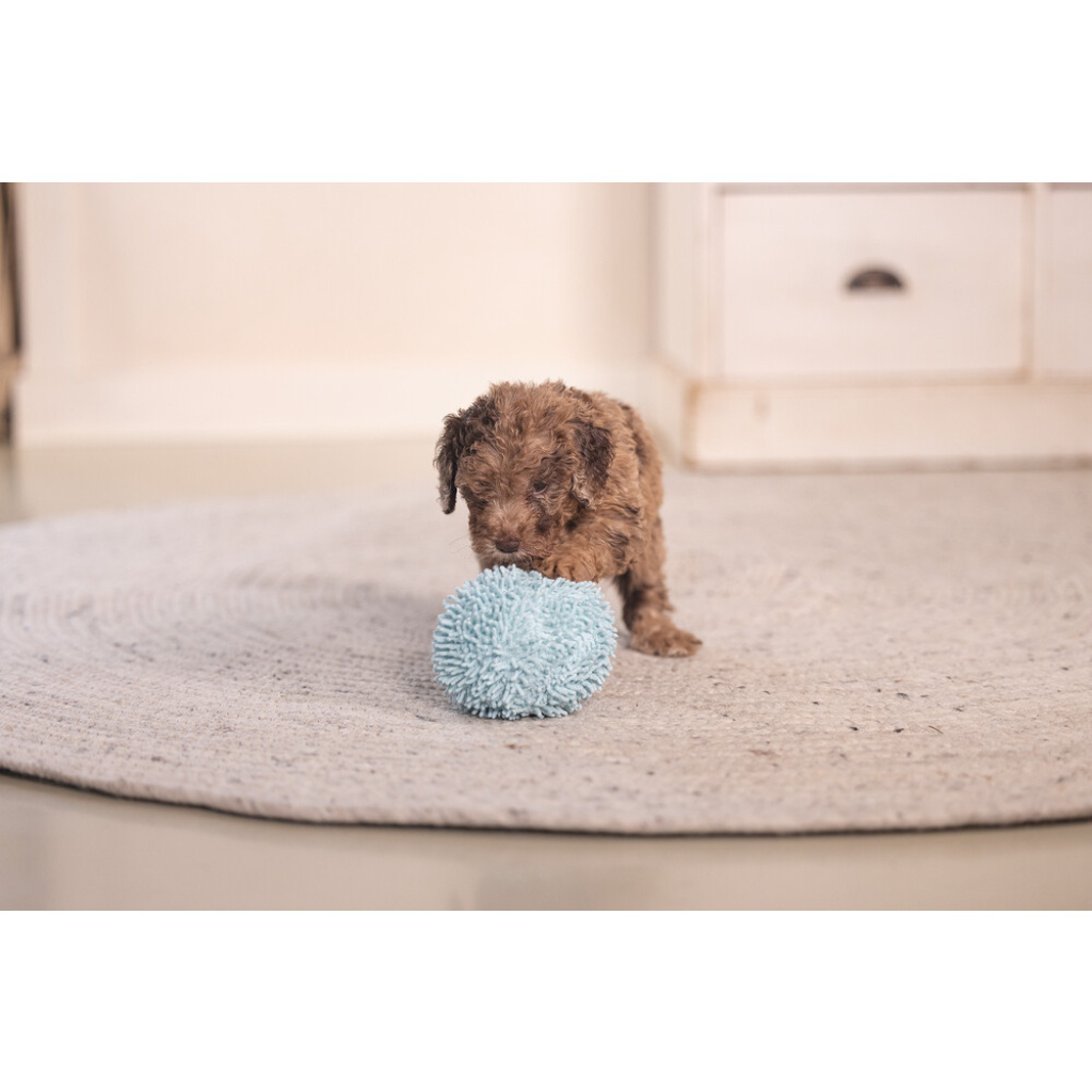 Beeztees Lily Peluş Top Yavru Köpek Oyuncağı 10cm (Mavi)