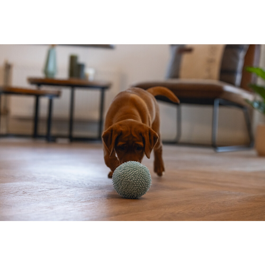 Beeztees Lily Peluş Top Yavru Köpek Oyuncağı 10cm (Mavi)