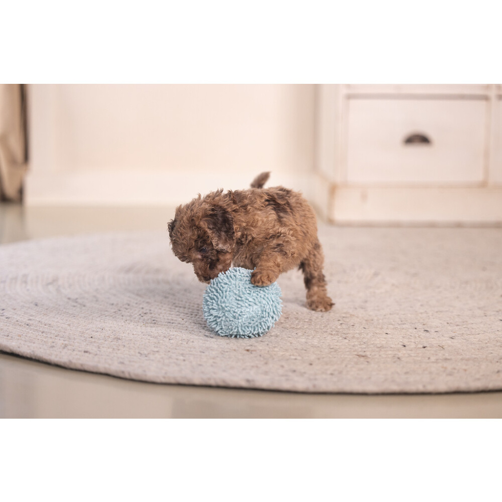 Beeztees Lily Peluş Top Yavru Köpek Oyuncağı 10cm (Mavi)