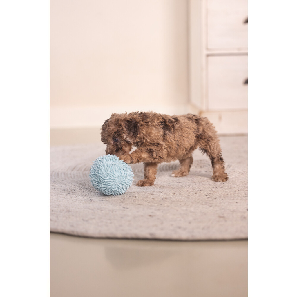 Beeztees Lily Peluş Top Yavru Köpek Oyuncağı 10cm (Mavi)