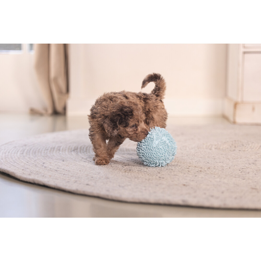 Beeztees Lily Peluş Top Yavru Köpek Oyuncağı 10cm (Mavi)