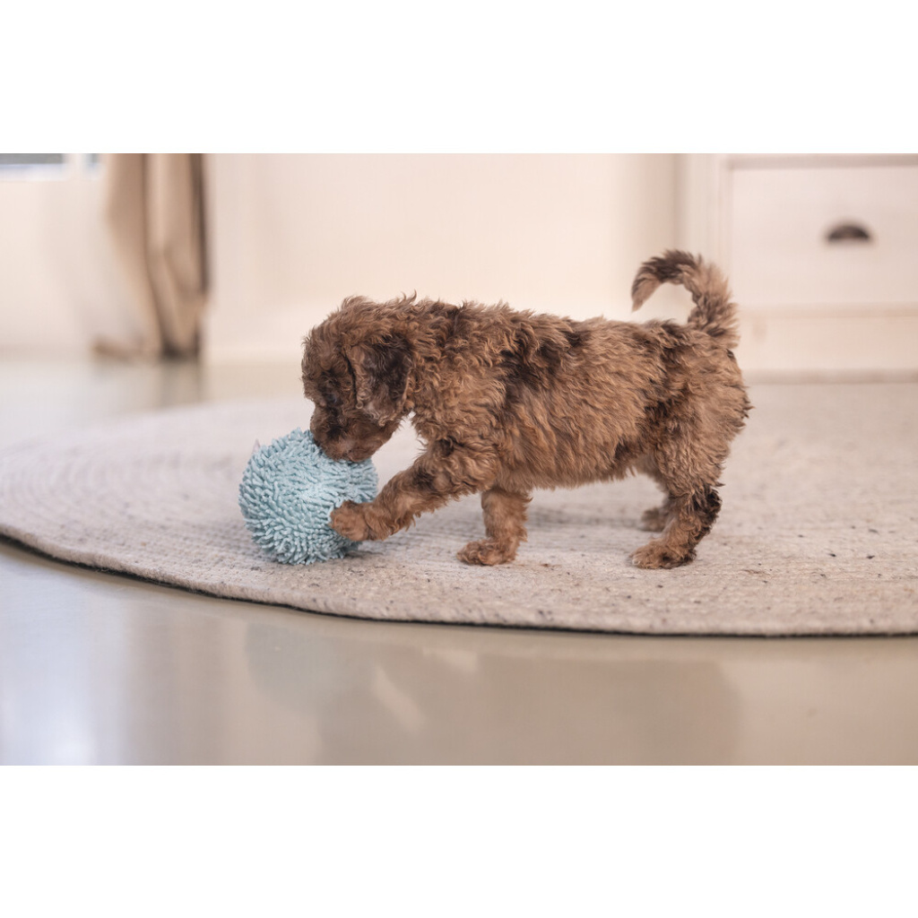 Beeztees Lily Peluş Top Yavru Köpek Oyuncağı 10cm (Mavi)