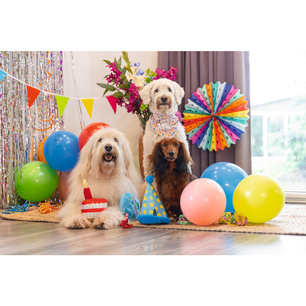 Beeztees Peluş Parti Balonu Köpek Oyuncağı 39x13x7,5cm (Mavi)