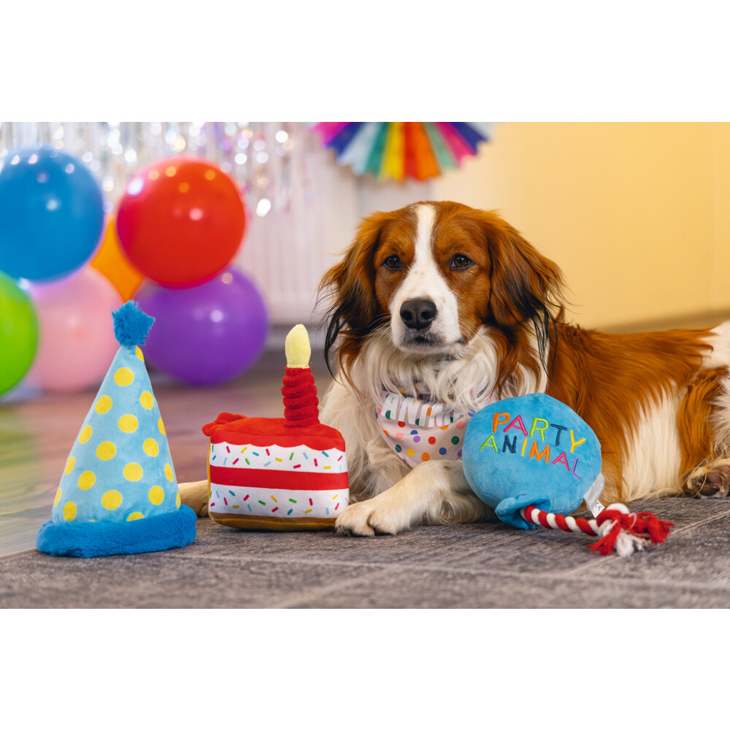 Beeztees Peluş Parti Balonu Köpek Oyuncağı 39x13x7,5cm (Mavi)