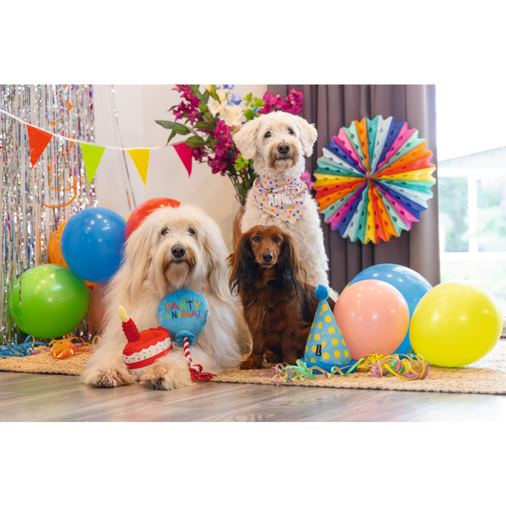 Beeztees Peluş Parti Balonu Köpek Oyuncağı 39x13x7,5cm (Mavi)