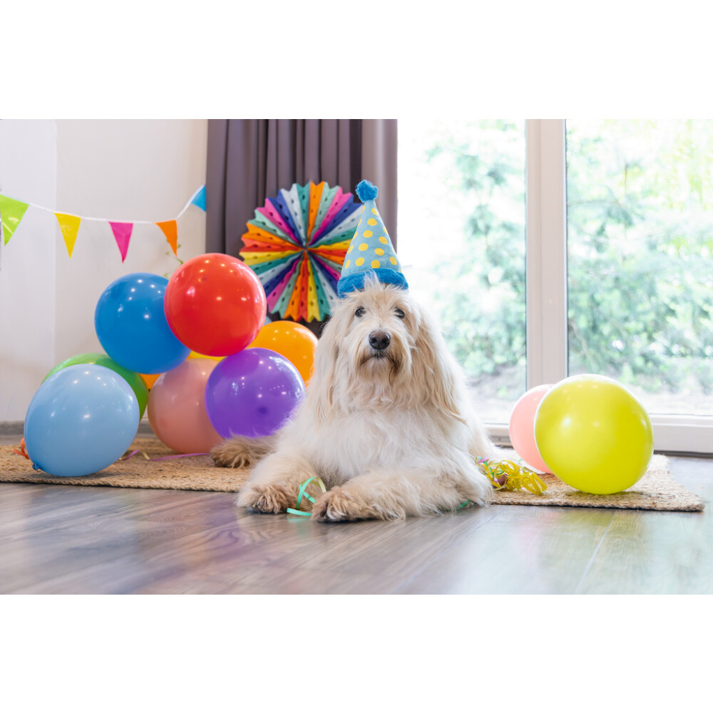 Beeztees Peluş Parti Balonu Köpek Oyuncağı 39x13x7,5cm (Mavi)