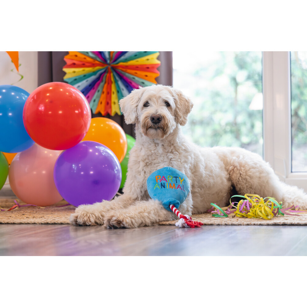 Beeztees Peluş Parti Balonu Köpek Oyuncağı 39x13x7,5cm (Mavi)