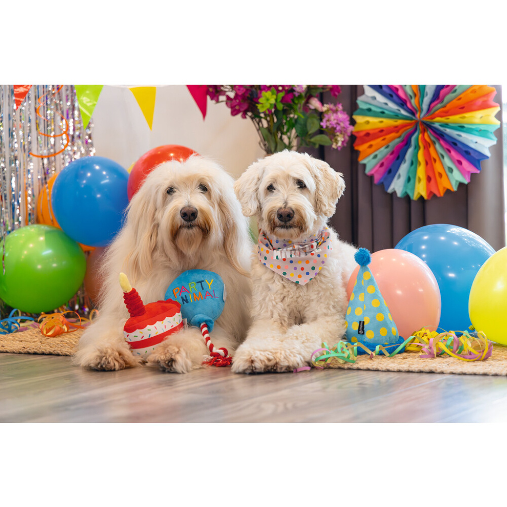 Beeztees Peluş Parti Balonu Köpek Oyuncağı 39x13x7,5cm (Mavi)