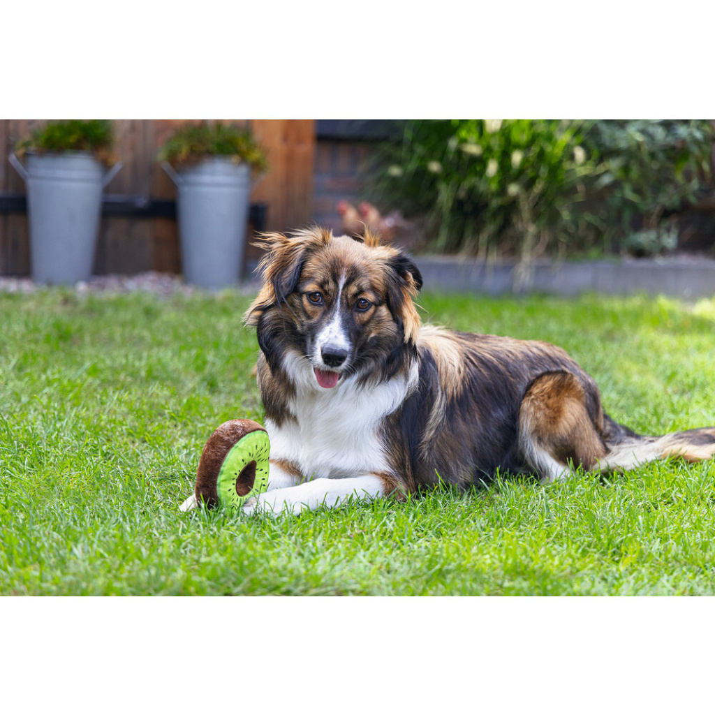 Beeztees Peluş Donut Köpek Oyuncağı 12x12x5Cm (Karışık Renkli)