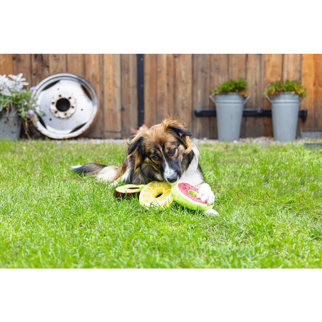 Beeztees Peluş Donut Köpek Oyuncağı 12x12x5Cm (Karışık Renkli)