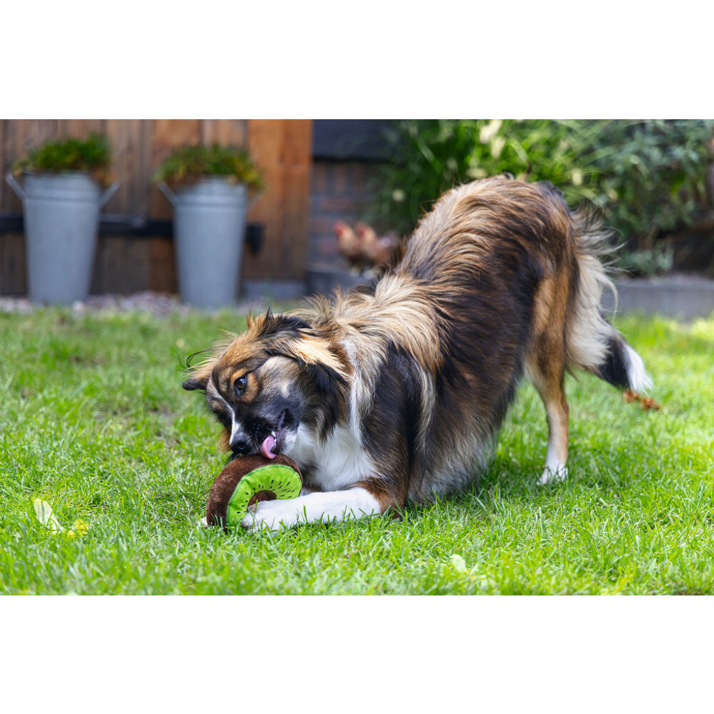 Beeztees Peluş Donut Köpek Oyuncağı 12x12x5Cm (Karışık Renkli)