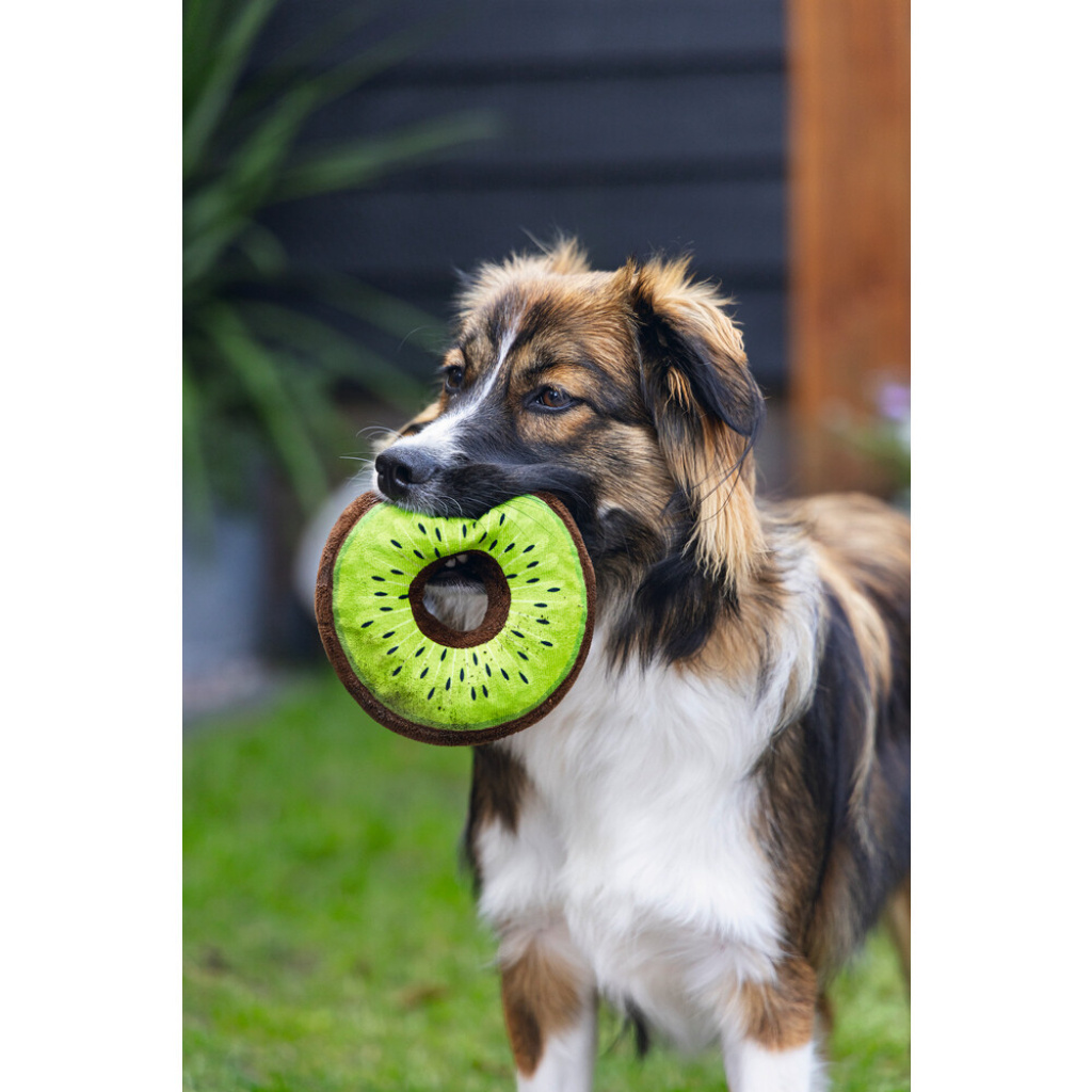 Beeztees Peluş Donut Köpek Oyuncağı 12x12x5Cm (Karışık Renkli)