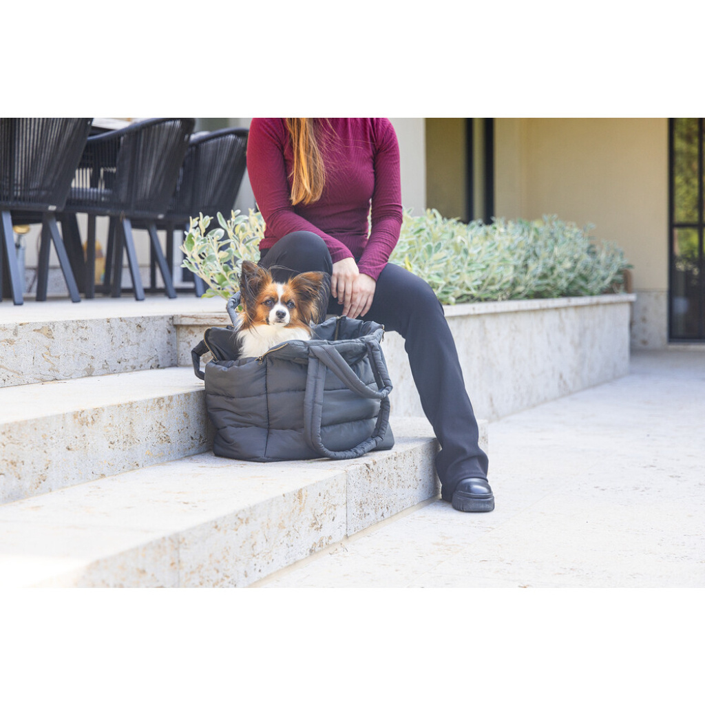 Beeztees Dbl Tico Yıkanabilir Köpek Taşıma Çantası 42x20x35cm (Siyah)