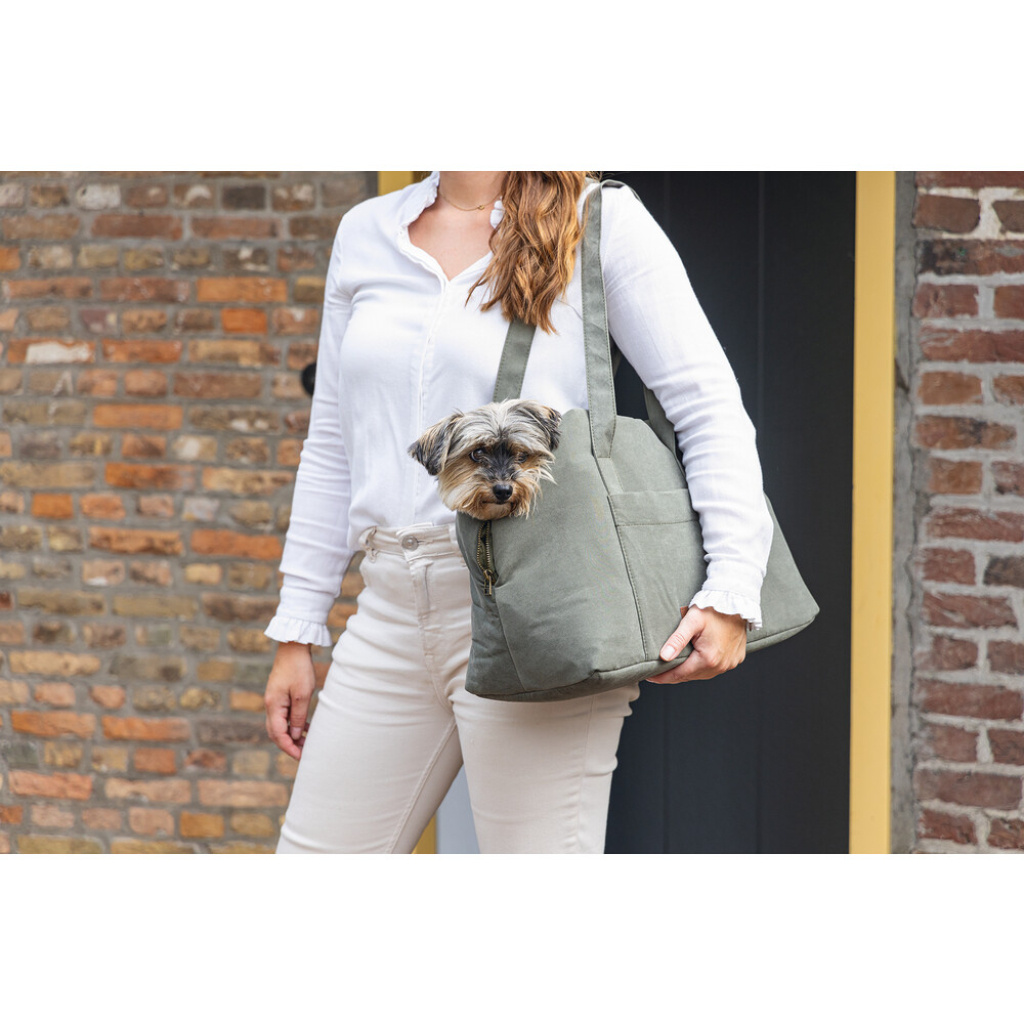 Beeztees Dbl Bundu Yıkanabilir Köpek Taşıma Çantası 40x20x28cm (Yeşil)