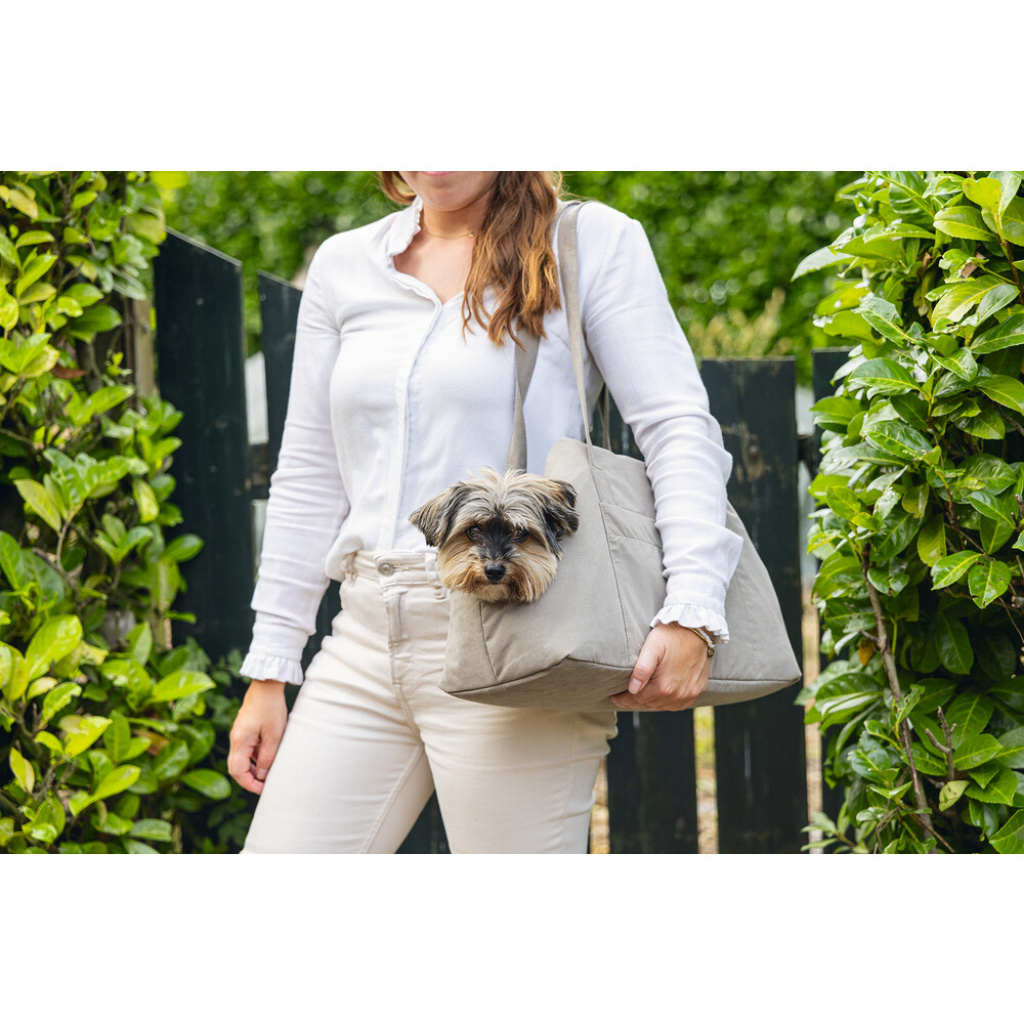 Beeztees Dbl Bundu Yıkanabilir Köpek Taşıma Çantası 40x20x28cm (Bej)