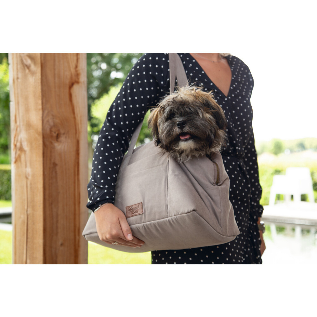 Beeztees Dbl Bundu Yıkanabilir Köpek Taşıma Çantası 40x20x28cm (Bej)