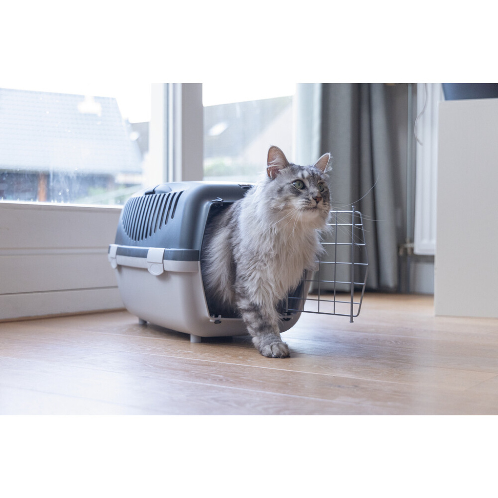 Beeztees Köpek ve Kedi Taşıma Kabı 48x32x31cm (Gri)