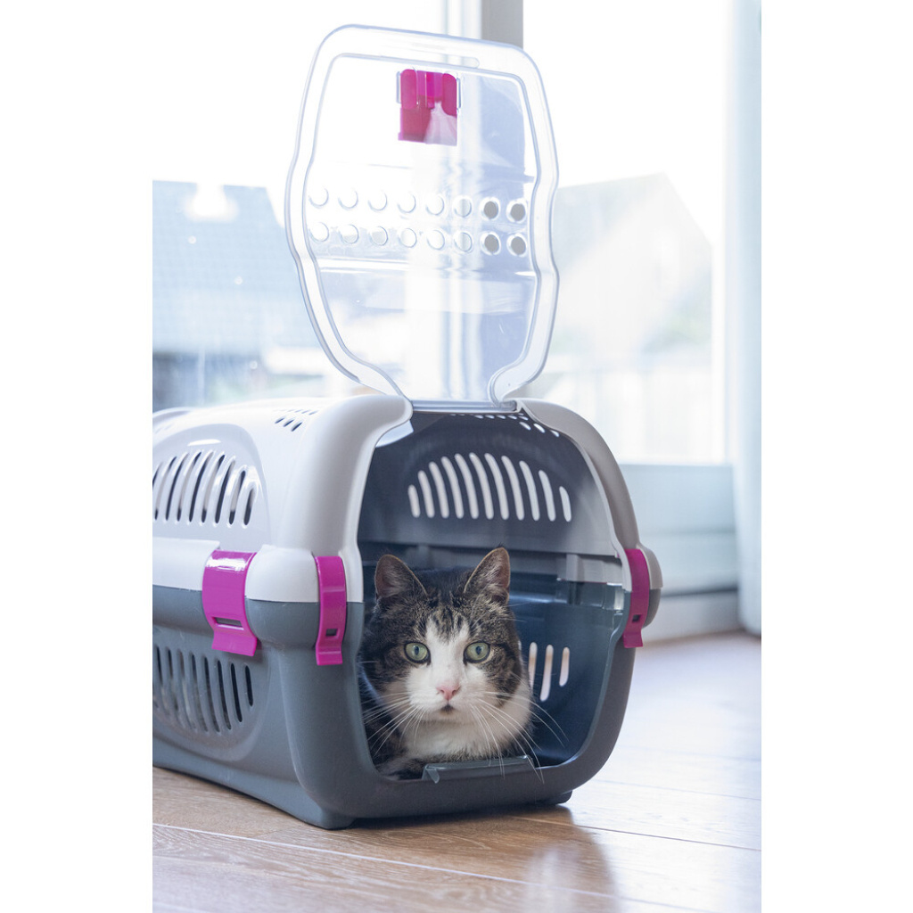 Beeztees Rhino Köpek ve Kedi Taşıma Kabı 51x34,5x33cm (Pembe)