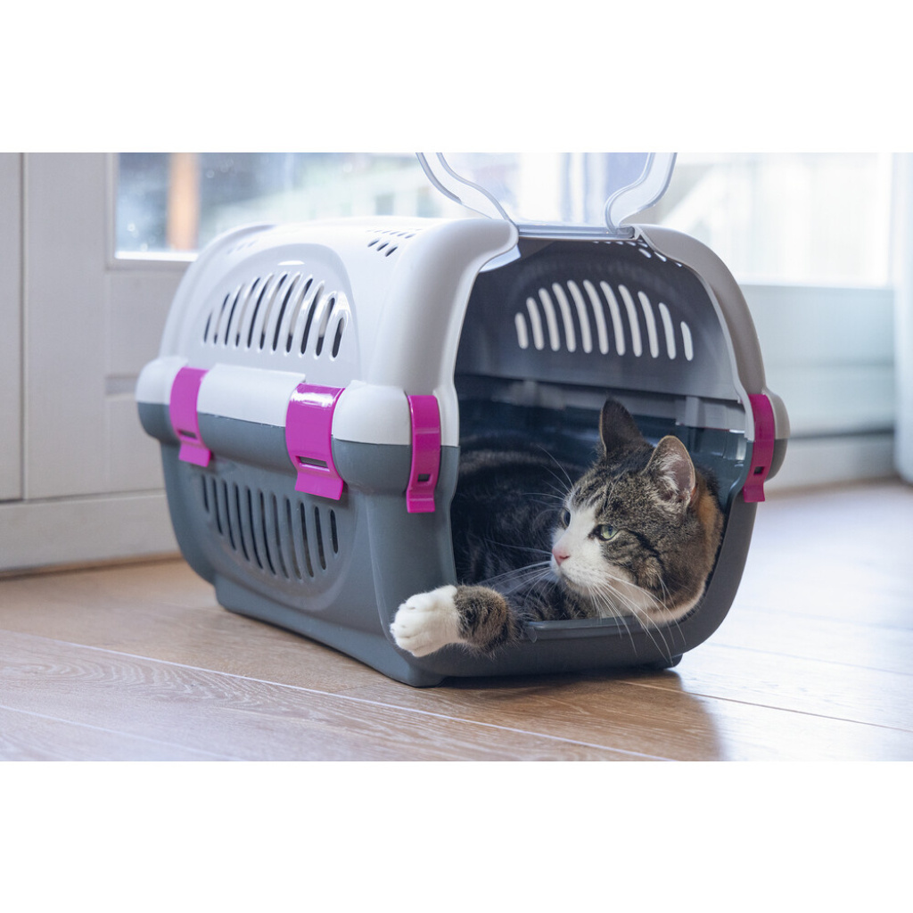 Beeztees Rhino Köpek ve Kedi Taşıma Kabı 51x34,5x33cm (Pembe)