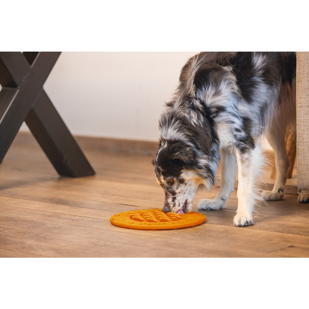Beeztees Lick Silikon Yavru Köpek Mama Yeme Oyuncağı 30cm (Turuncu)