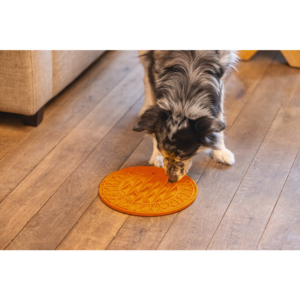 Beeztees Lick Silikon Yavru Köpek Mama Yeme Oyuncağı 30cm (Turuncu)