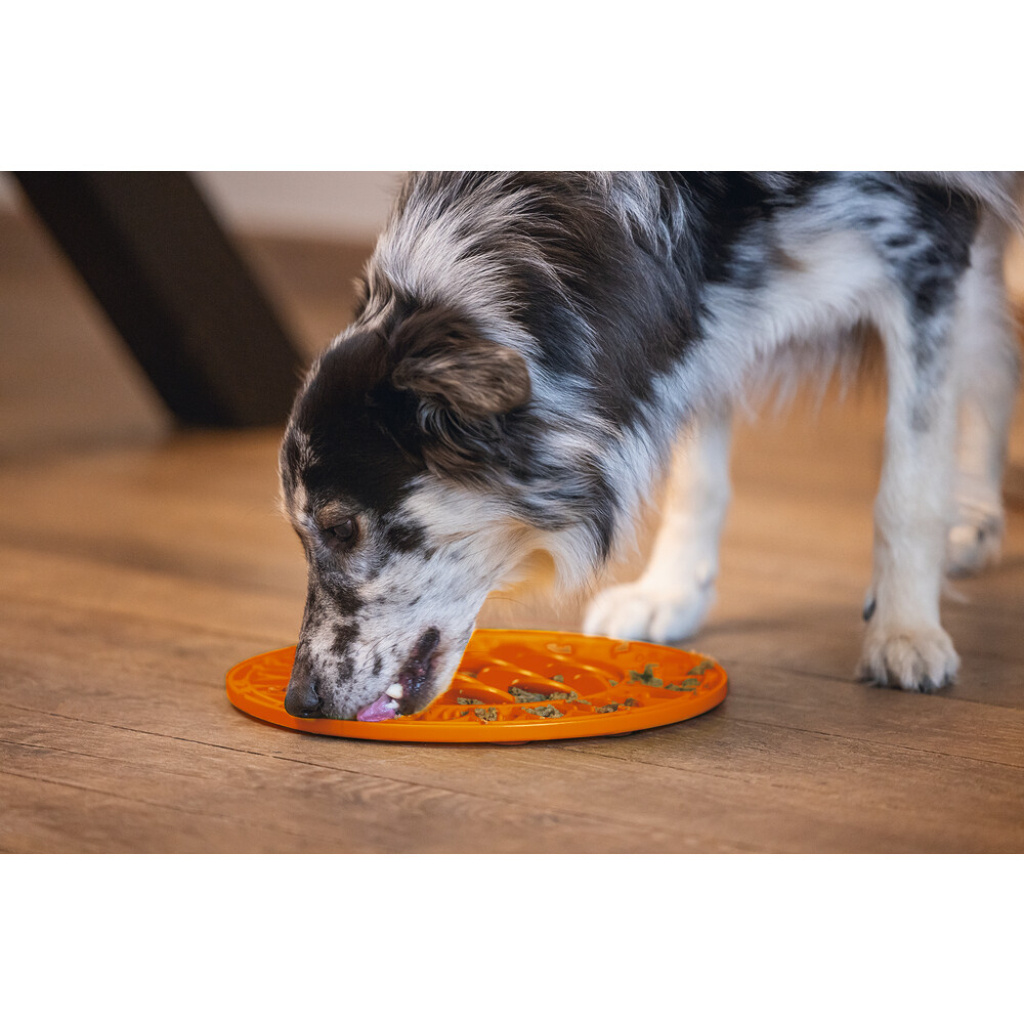 Beeztees Lick Silikon Yavru Köpek Mama Yeme Oyuncağı 30cm (Turuncu)