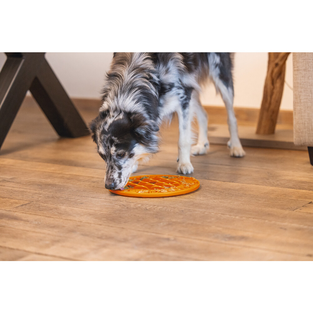 Beeztees Lick Silikon Yavru Köpek Mama Yeme Oyuncağı 30cm (Turuncu)