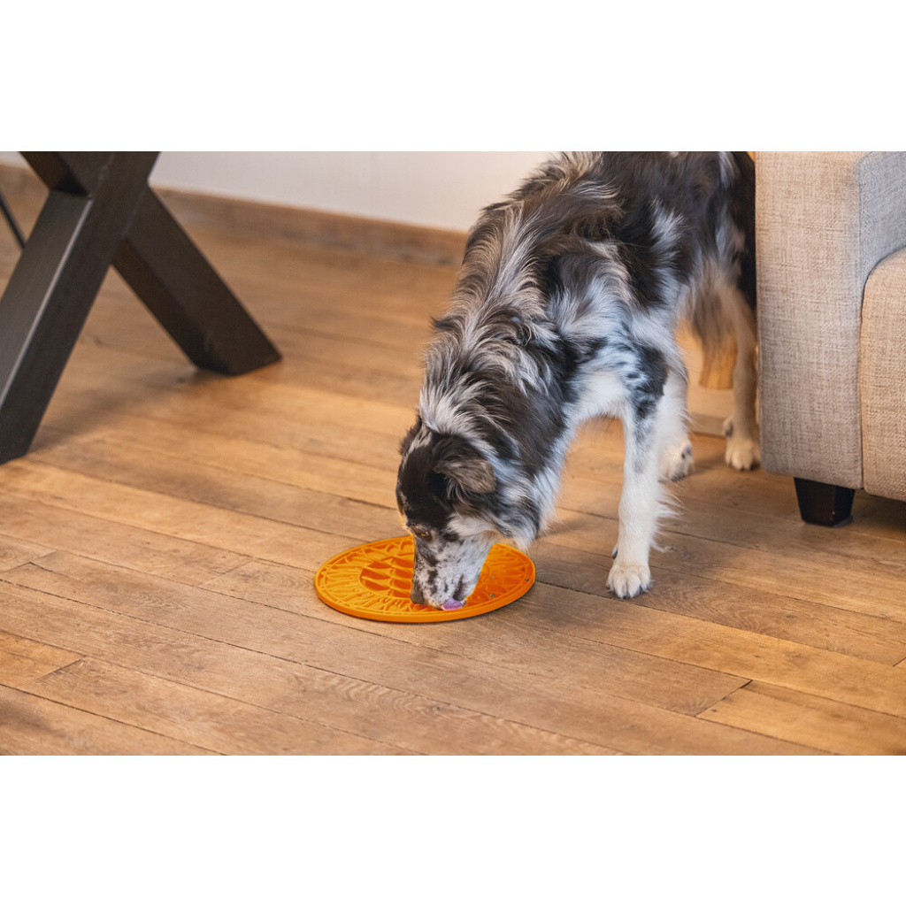 Beeztees Lick Silikon Yavru Köpek Mama Yeme Oyuncağı 30cm (Turuncu)