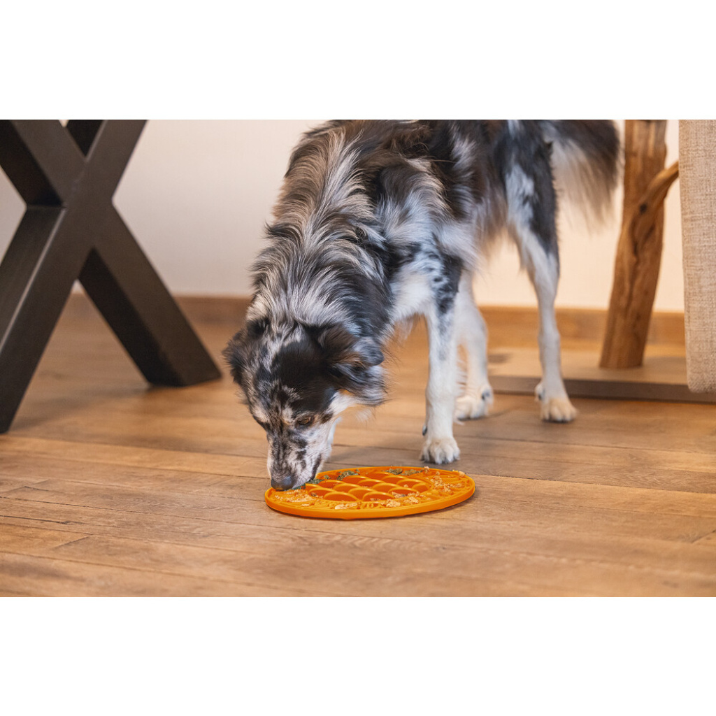 Beeztees Lick Silikon Yavru Köpek Mama Yeme Oyuncağı 30cm (Turuncu)