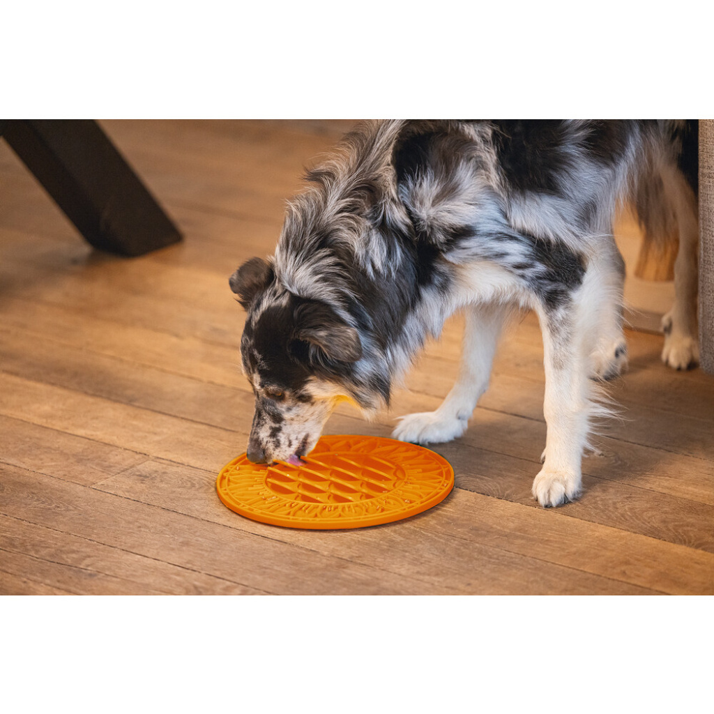 Beeztees Lick Silikon Yavru Köpek Mama Yeme Oyuncağı 30cm (Turuncu)