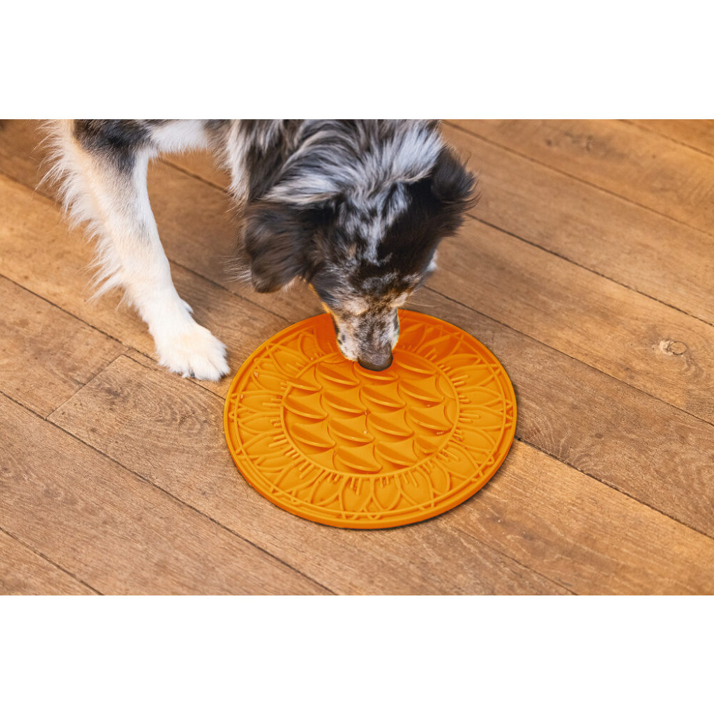Beeztees Lick Silikon Yavru Köpek Mama Yeme Oyuncağı 30cm (Turuncu)