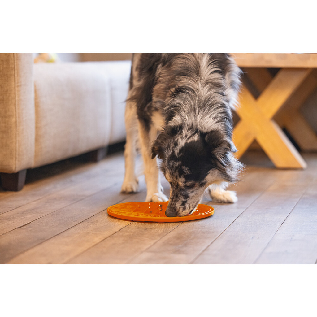 Beeztees Lick Silikon Yavru Köpek Mama Yeme Oyuncağı 30cm (Turuncu)