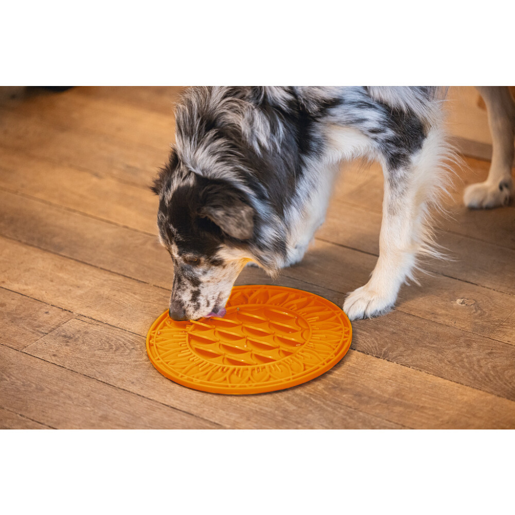 Beeztees Lick Silikon Yavru Köpek Mama Yeme Oyuncağı 30cm (Turuncu)