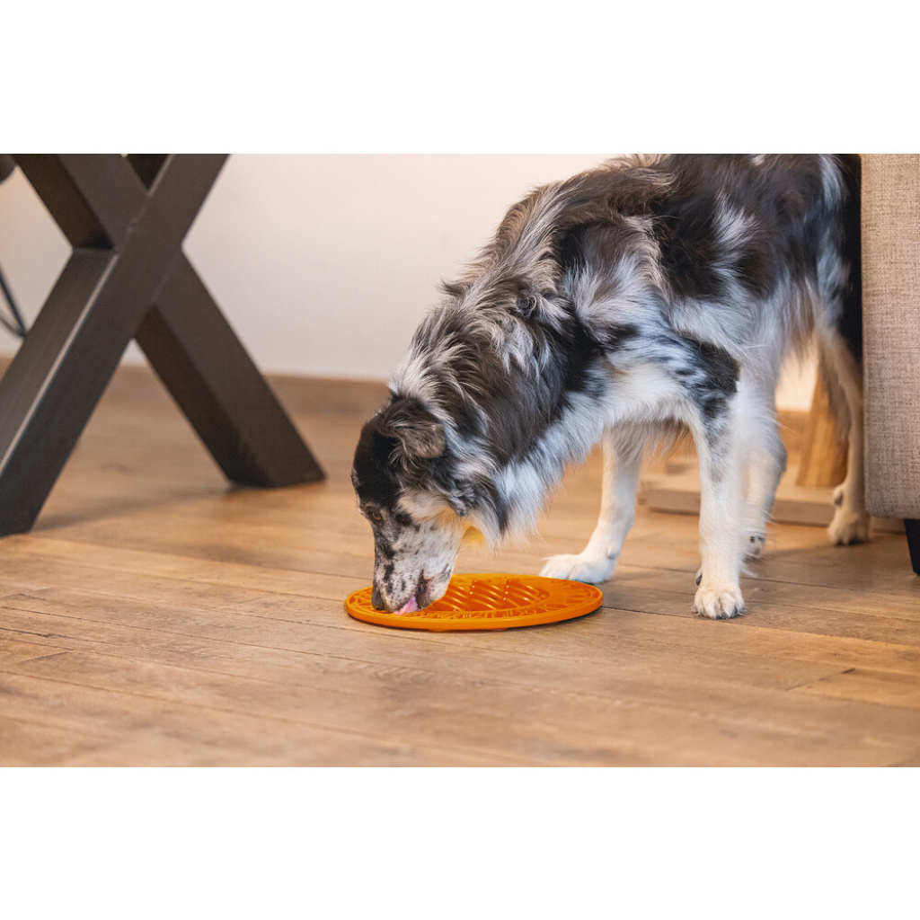 Beeztees Lick Silikon Yavru Köpek Mama Yeme Oyuncağı 30cm (Turuncu)