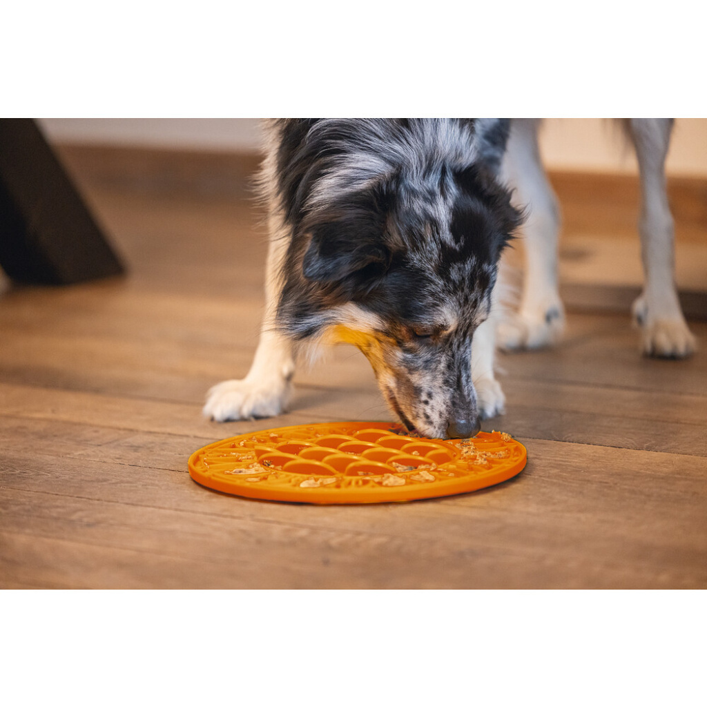 Beeztees Lick Silikon Yavru Köpek Mama Yeme Oyuncağı 30cm (Turuncu)