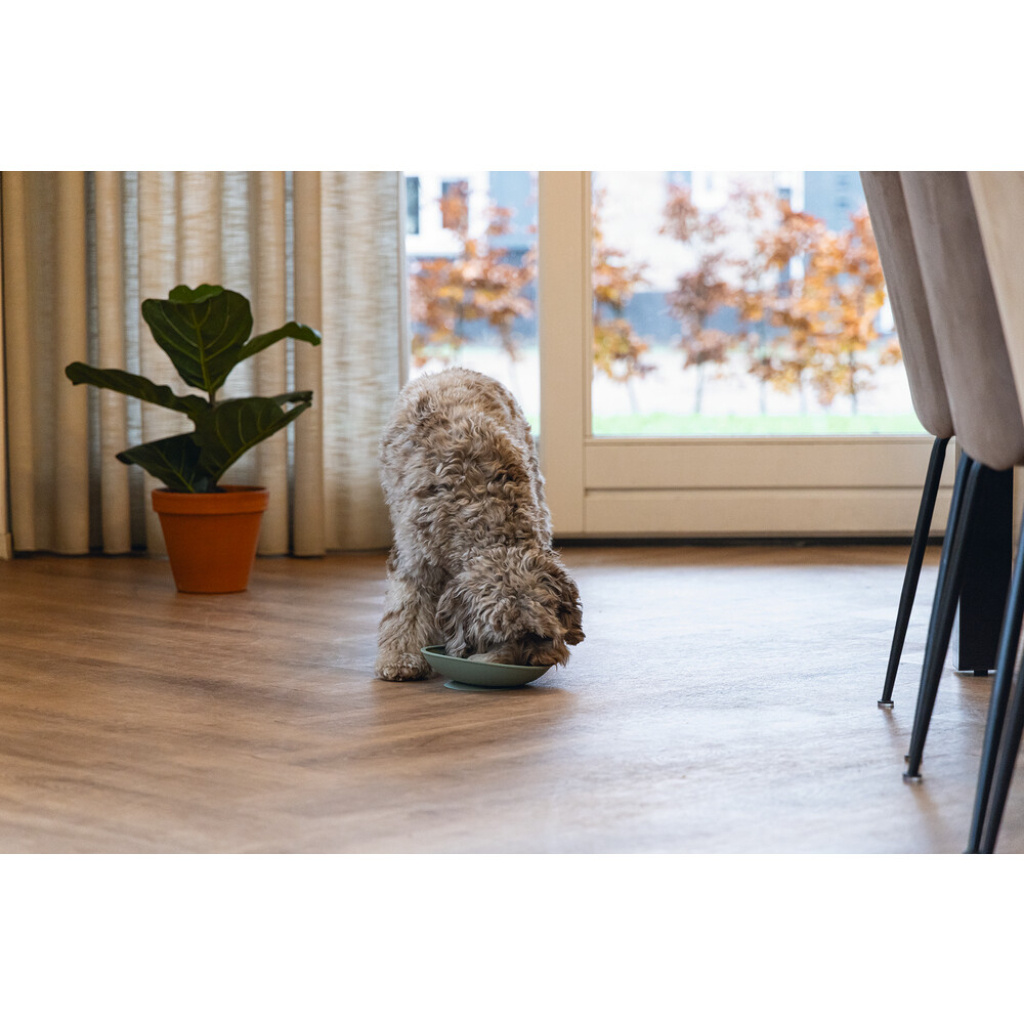 Beeztees Lick Silikon Yavru Köpek Mama Yeme Oyuncağı 19cm (Yeşil)