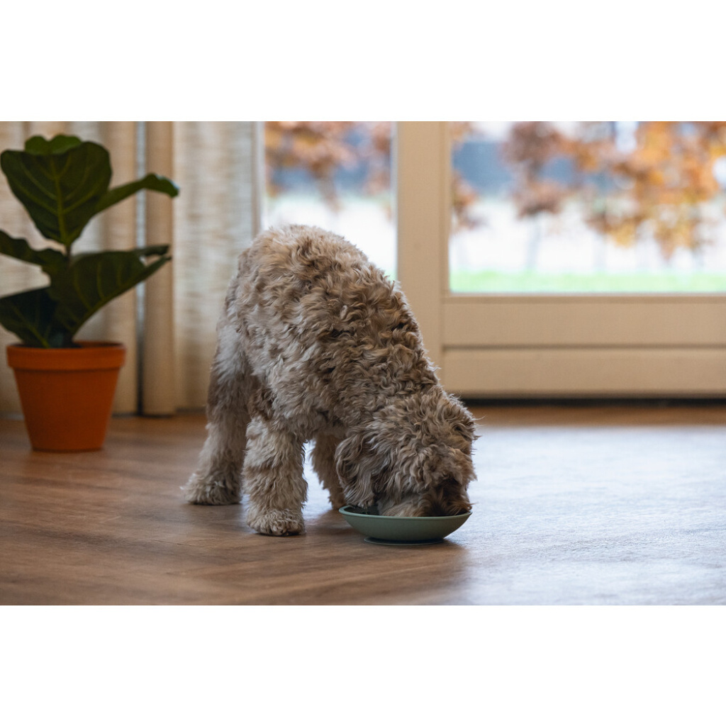 Beeztees Lick Silikon Yavru Köpek Mama Yeme Oyuncağı 19cm (Yeşil)