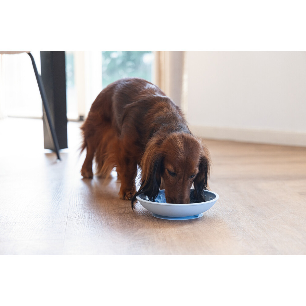 Beeztees Lick Silikon Yavru Köpek Mama Yeme Oyuncağı 19cm (Mavi)