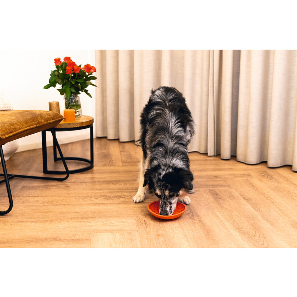 Beeztees Lick Silikon Yavru Köpek Mama Yeme Oyuncağı 19cm (Kırmızı)