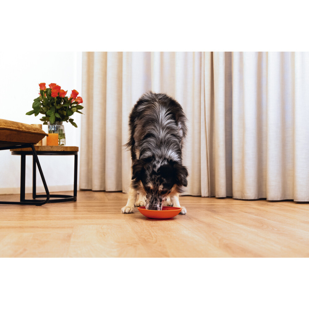 Beeztees Lick Silikon Yavru Köpek Mama Yeme Oyuncağı 19cm (Kırmızı)